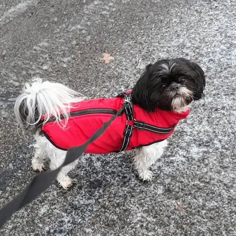 Waterproof Winter Dog Jacket with Reflective Harness