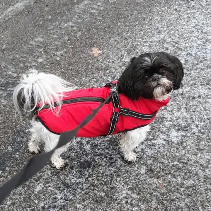 Waterproof Winter Dog Jacket with Reflective Harness