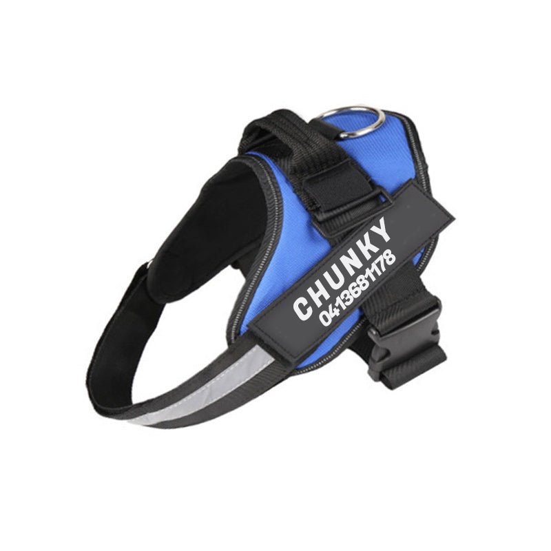 Skanto | Dogsafe Harness – Reflective, No-Pull Dog Harness with Customizable Name Tag