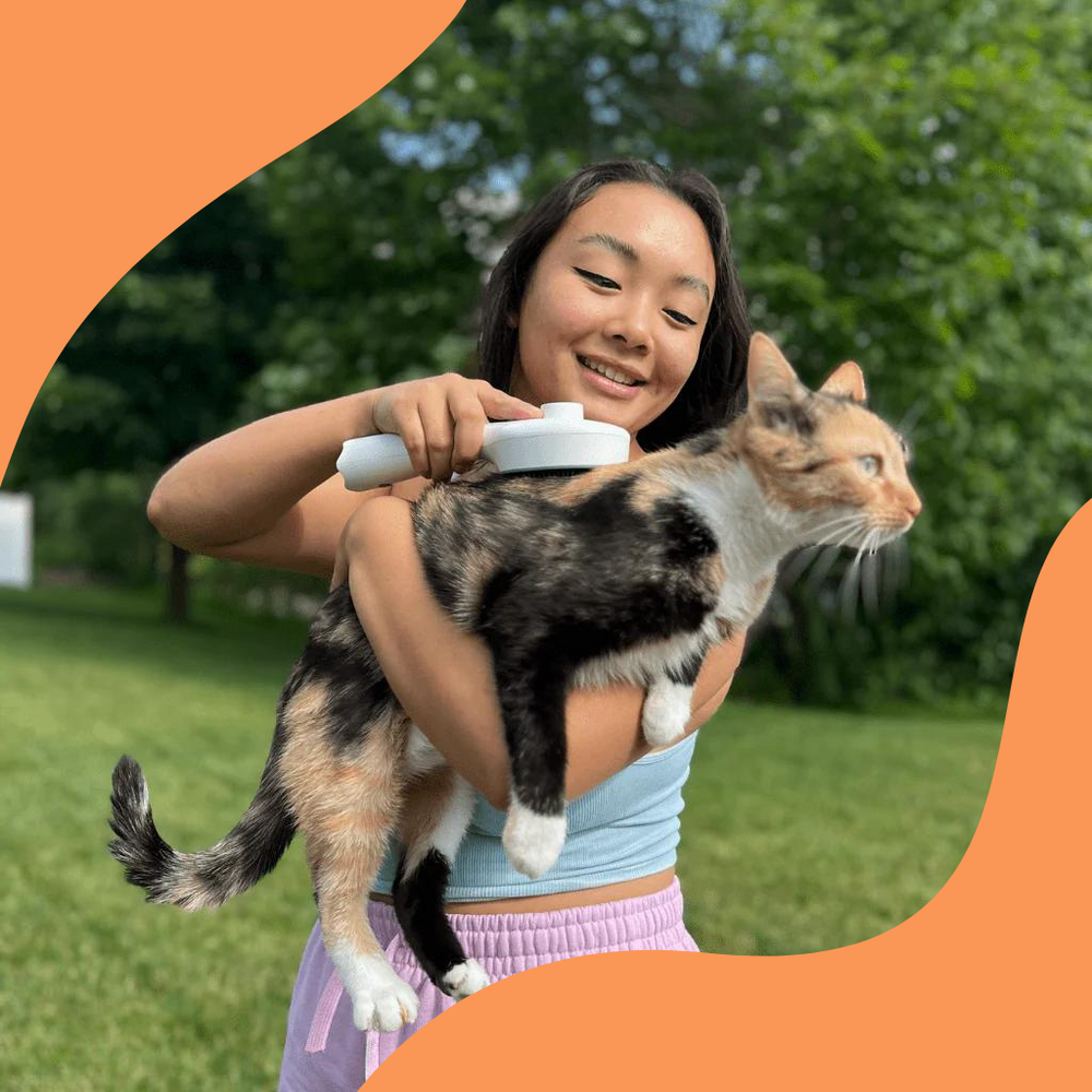 Brehn | TickFreeGlow – The smart brush against ticks & dirt!