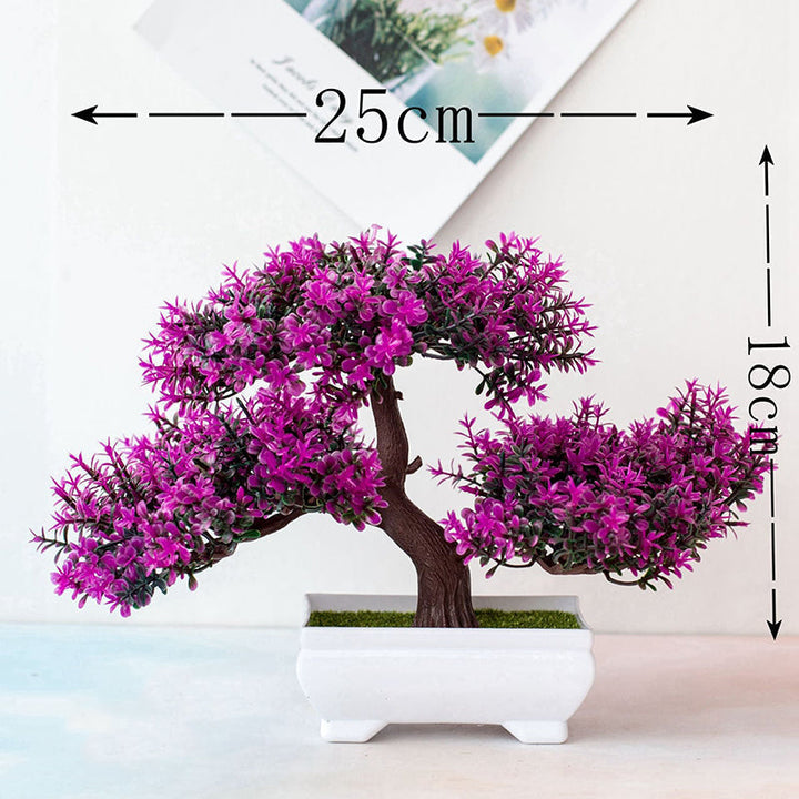 Kalsten | Plant Bonsai