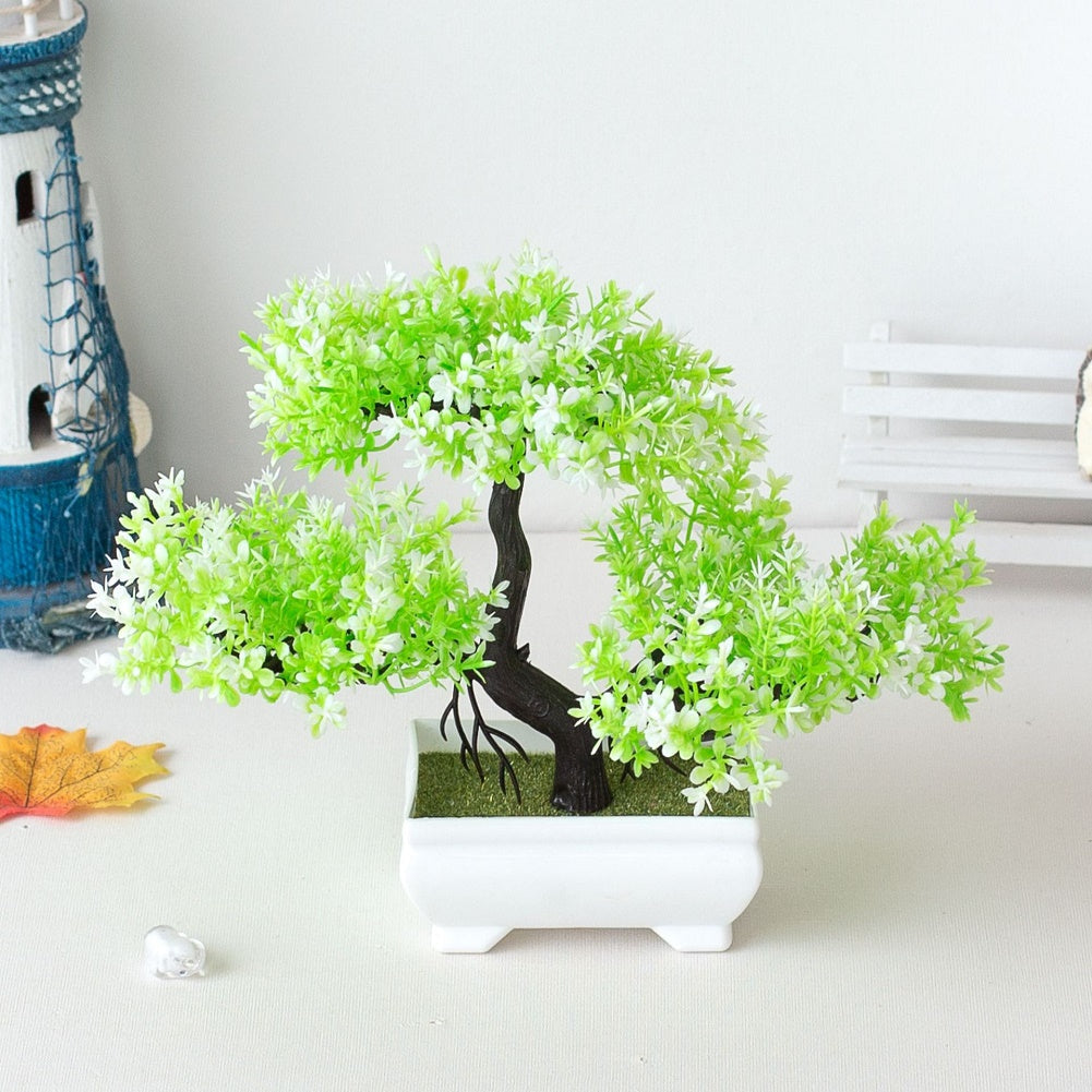 Kalsten | Plant Bonsai