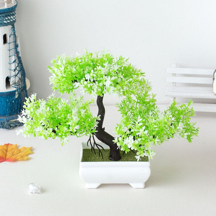 Kalsten | Plant Bonsai