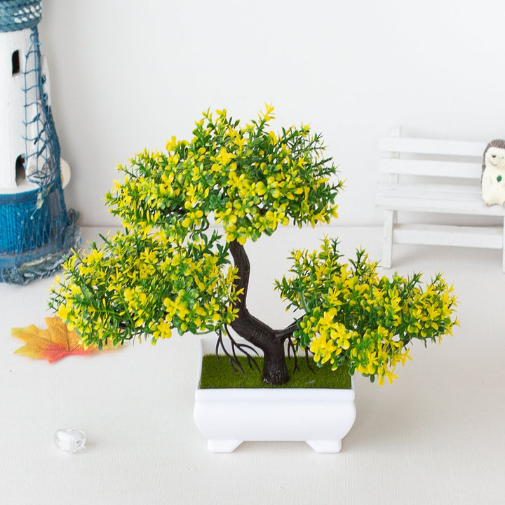 Kalsten | Plant Bonsai