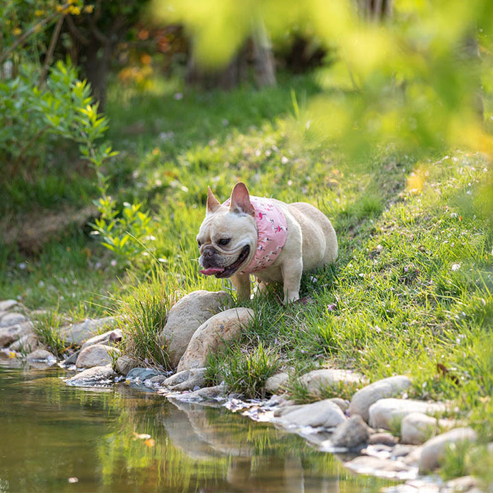 Frenchie Summer Cooling Scarf Anti-Heatstroke | Kalsten