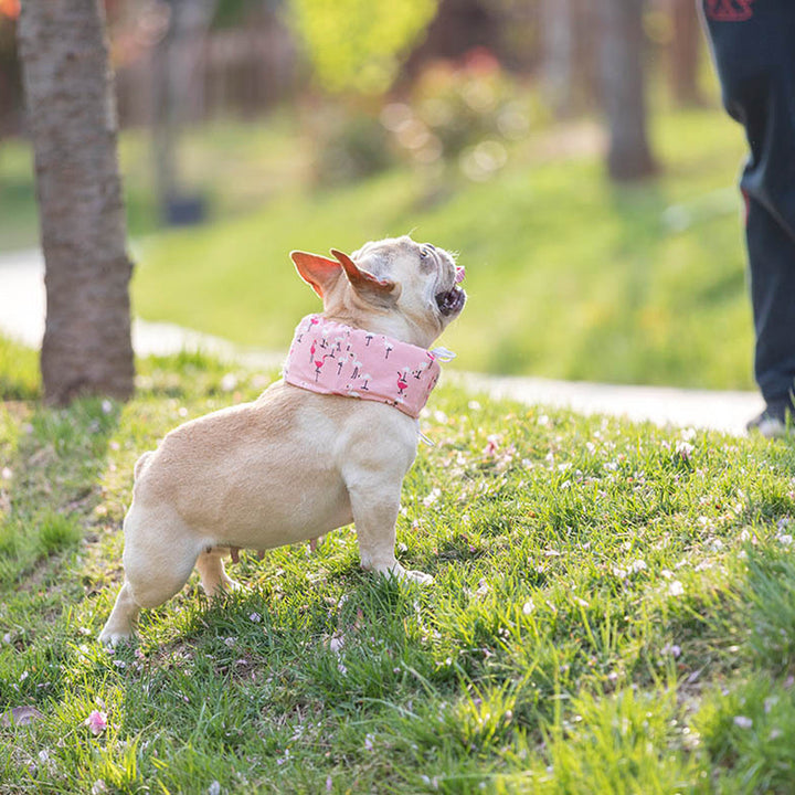 Frenchie Summer Cooling Scarf Anti-Heatstroke | Kalsten