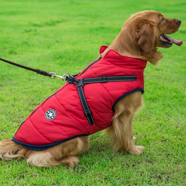Winter Dog Jacket with Harness | Karnz