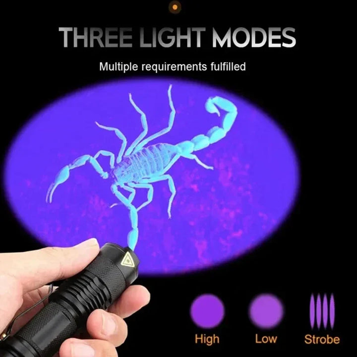 UV Flashlight for Urine and Stains Kalsten