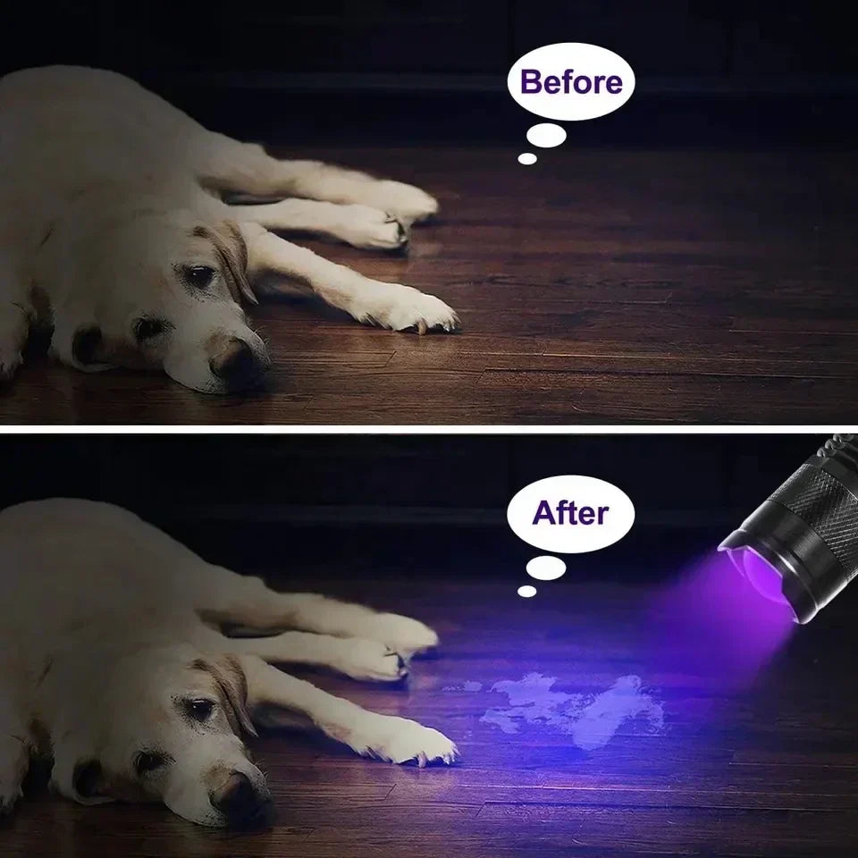 UV Flashlight for Urine and Stains Kalsten