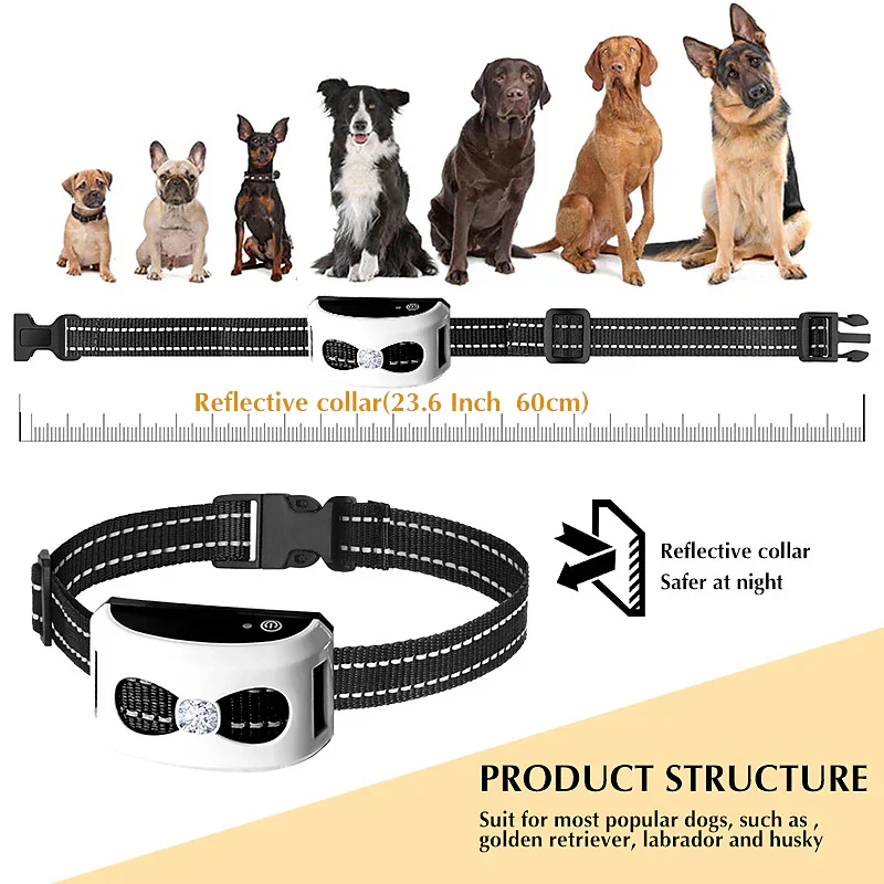 Kalsten | 2-in-1 Wireless Dog Fence & Outdoor Training Collar