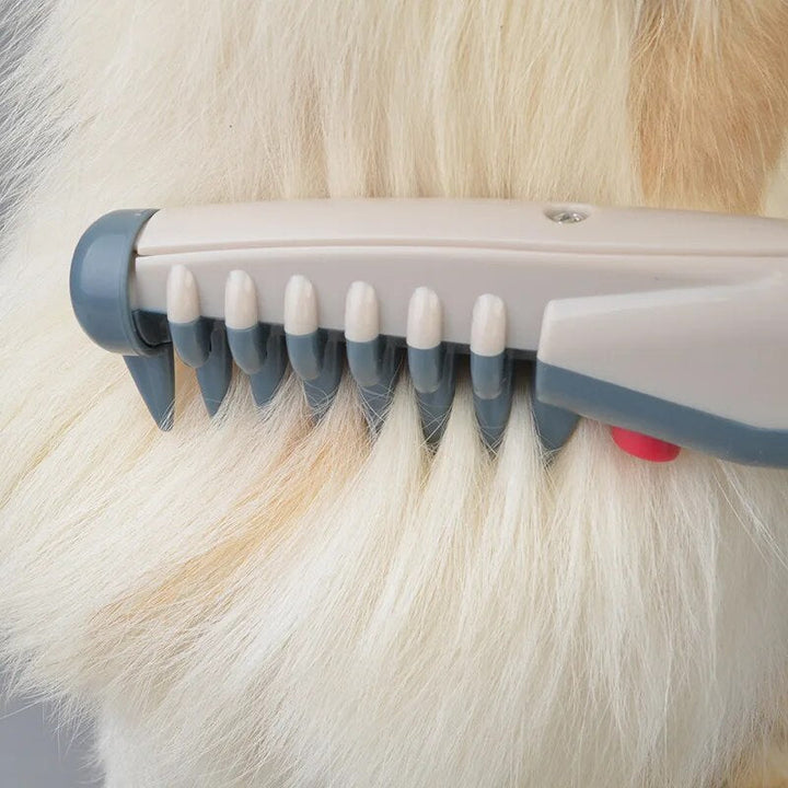 Kalsten | Electric Hair Clipper for Dogs and Cats