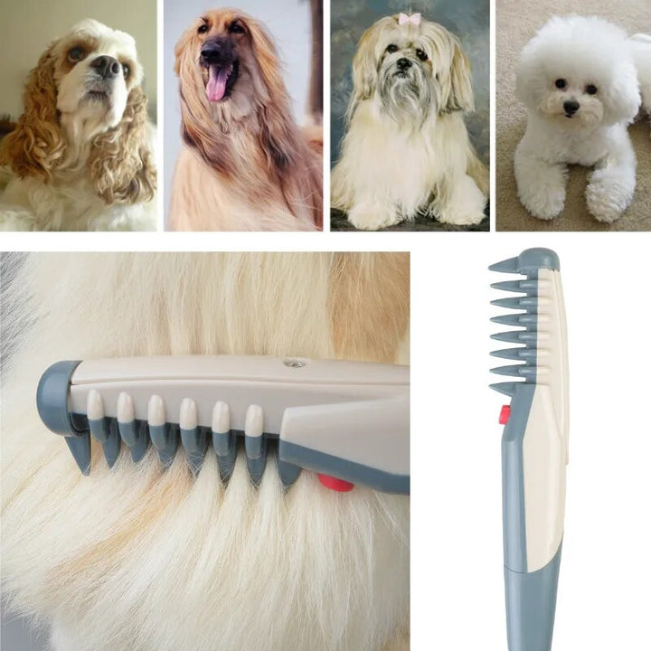 Kalsten | Electric Hair Clipper for Dogs and Cats