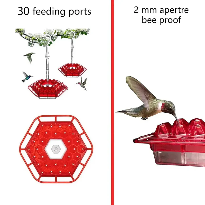 Kalsten | Ant Proof Hummingbird Feeder, Outdoor Hanging Perch