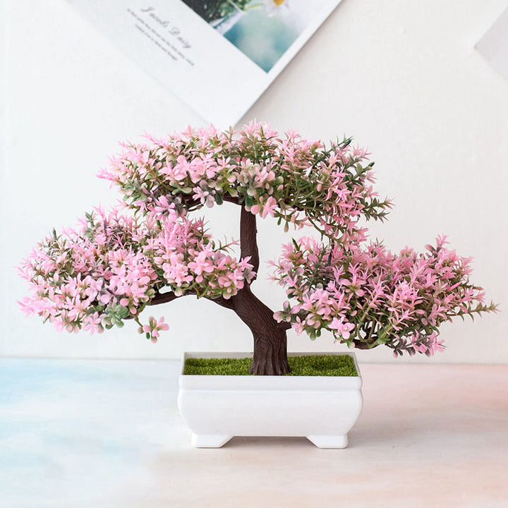 Kalsten | Plant Bonsai