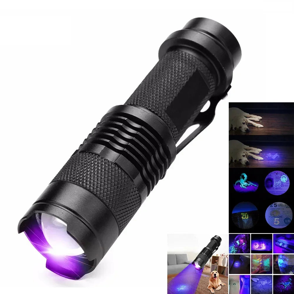 UV Flashlight for Urine and Stains Kalsten