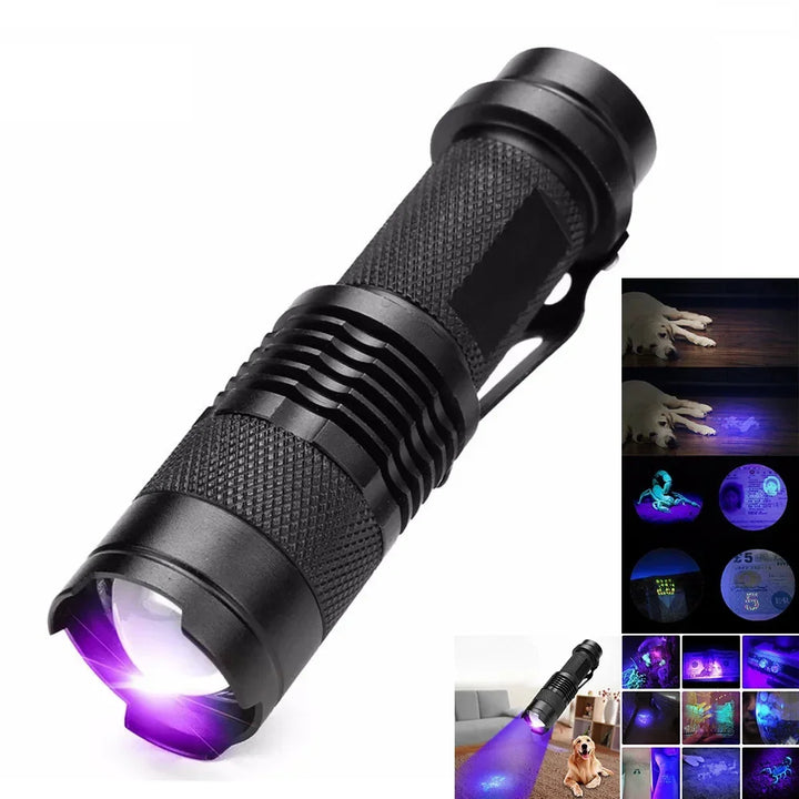 UV Flashlight for Urine and Stains Kalsten