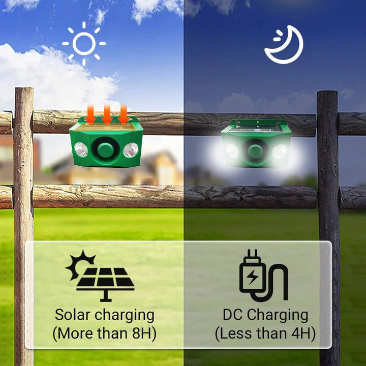 Kalsten | DUALGUARD – High Volume Solar Warning Lights to Deter Predators