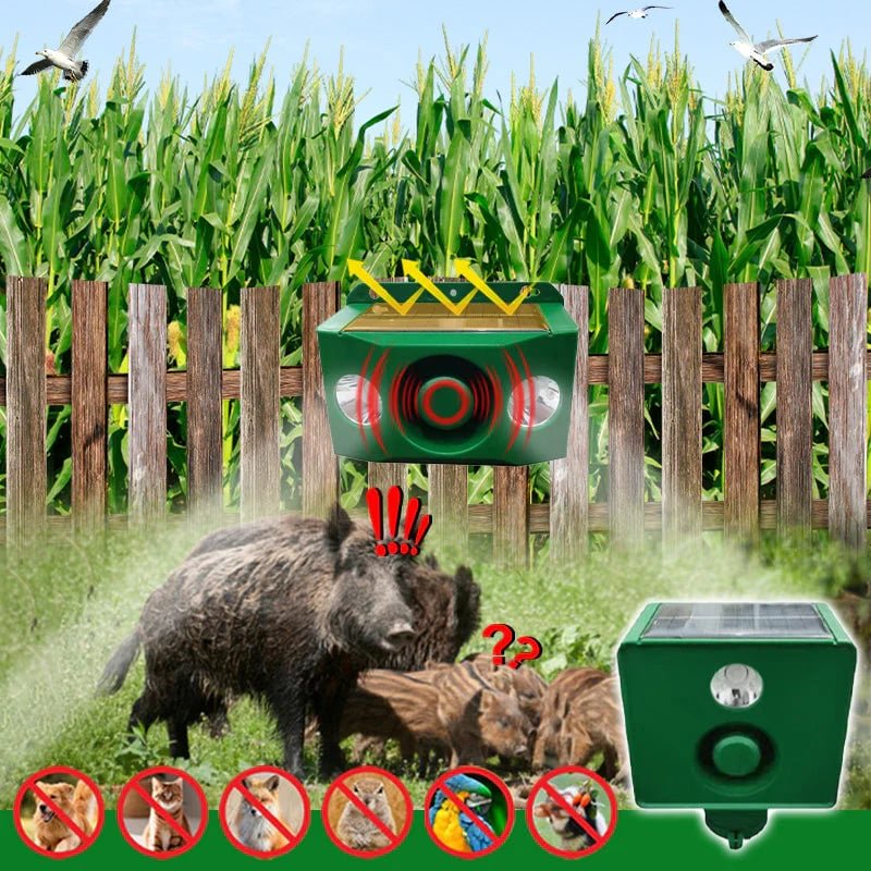 Kalsten | DUALGUARD – High Volume Solar Warning Lights to Deter Predators