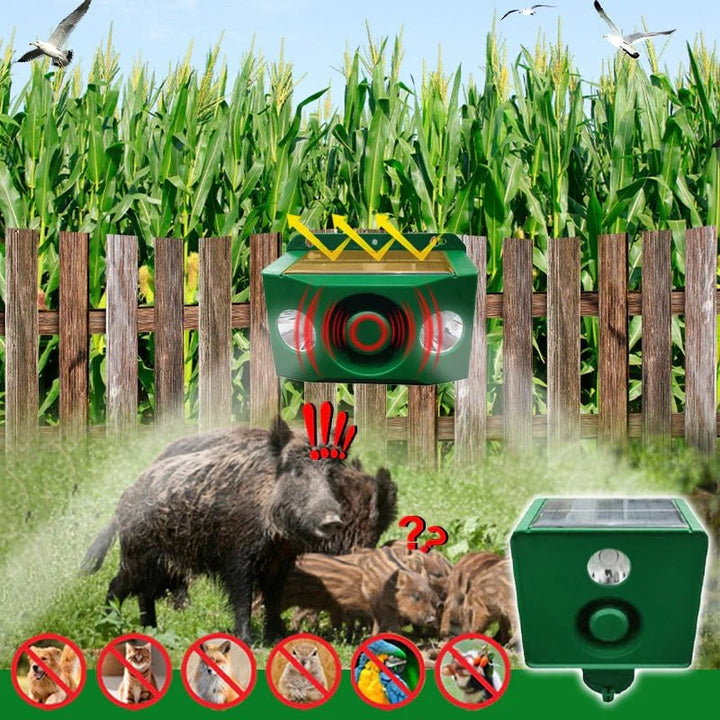 Kalsten | DUALGUARD – High Volume Solar Warning Lights to Deter Predators