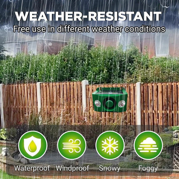 Kalsten | DUALGUARD – High Volume Solar Warning Lights to Deter Predators