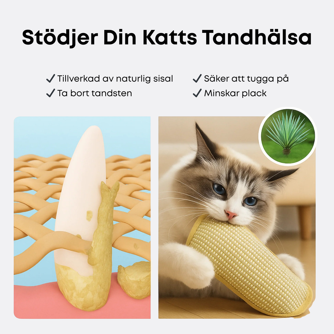 Krallex® — Unleash your cat's wild hunting frenzy for hours of play fun and healthy teeth | Kalsten