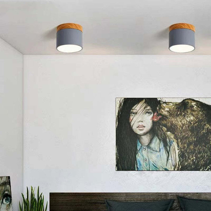 Morandi Style Modern LED Ceiling Lamp - LumiModo | Kalsten
