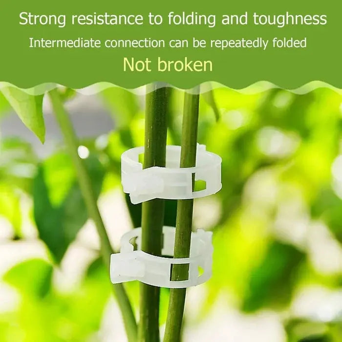 VitaGrip Clips — Strong hold for majestic plants that grow and thrive proudly | Kalsten
