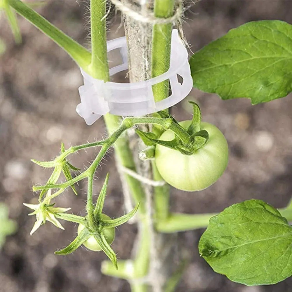 VitaGrip Clips — Strong hold for majestic plants that grow and thrive proudly | Kalsten