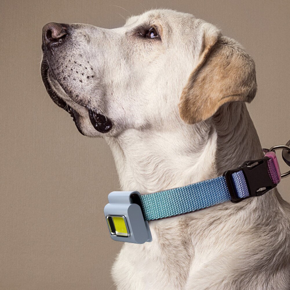 Pocket Must-Have Mini Magnetic Walking Lamp Clip | Kalsten