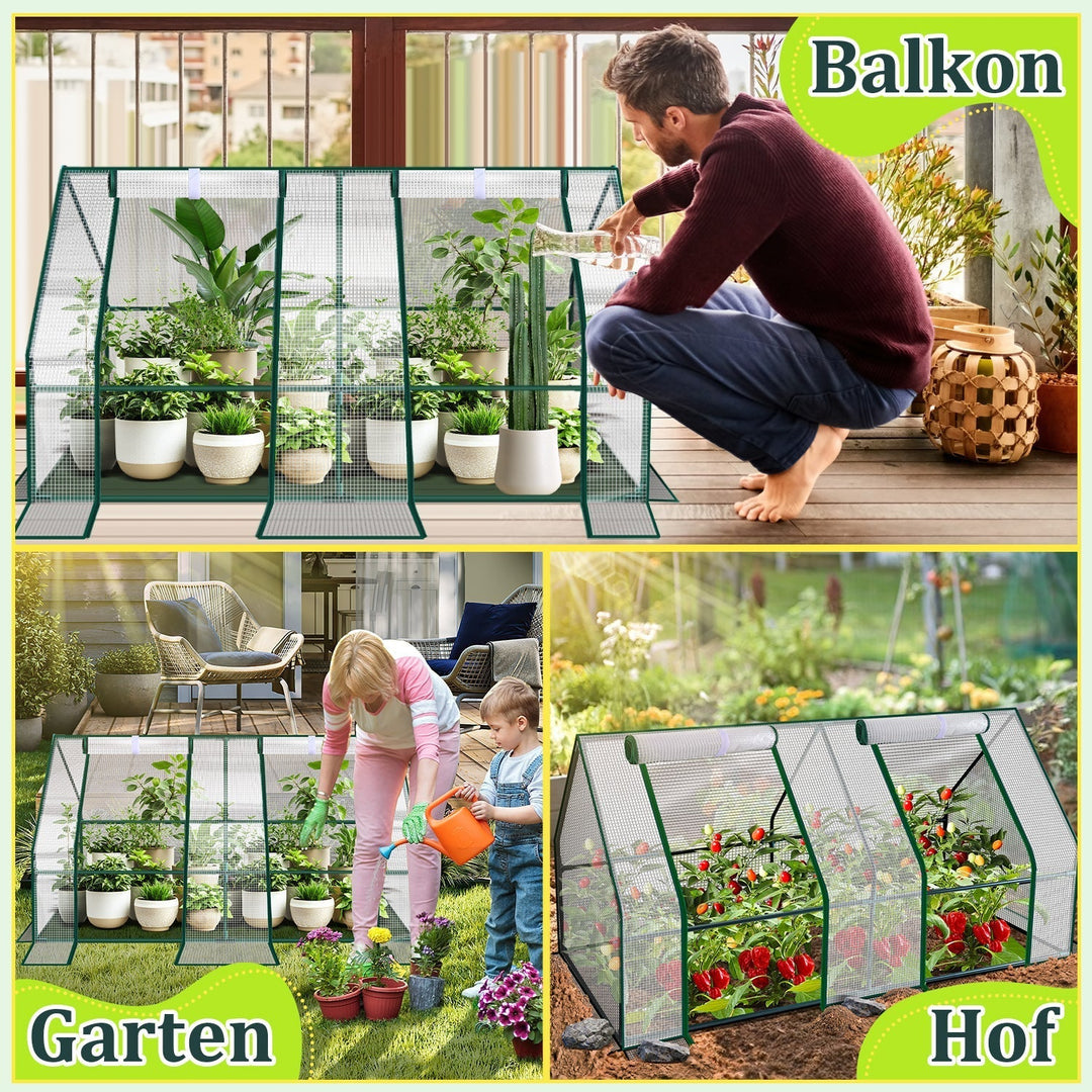 Greenhouse Tomato Greenhouse Hothouse | Kalsten
