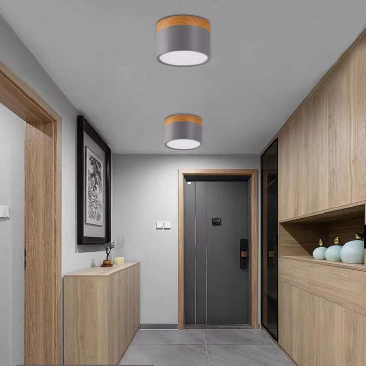 Morandi Style Modern LED Ceiling Lamp - LumiModo | Kalsten