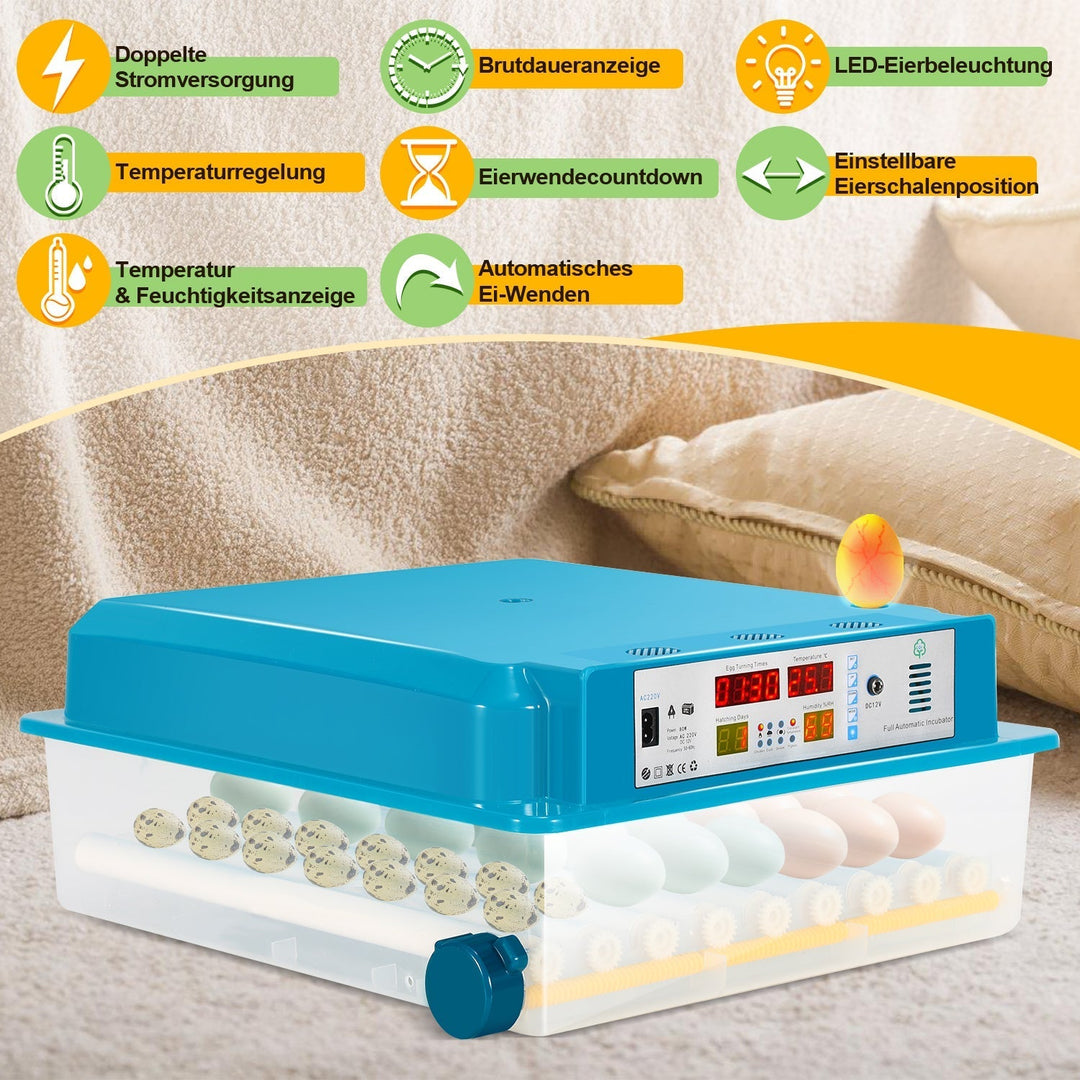 Brutautomat Fully Automatic Incubator for Chickens 64 Eggs | Kalsten