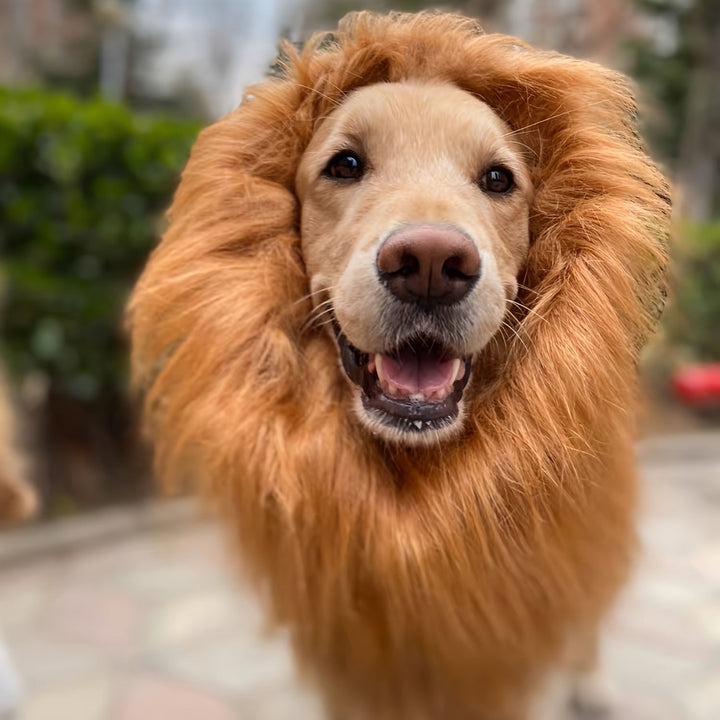 Dog Lion Mane Halloween Costume Lightweight Adjustable Kalsten