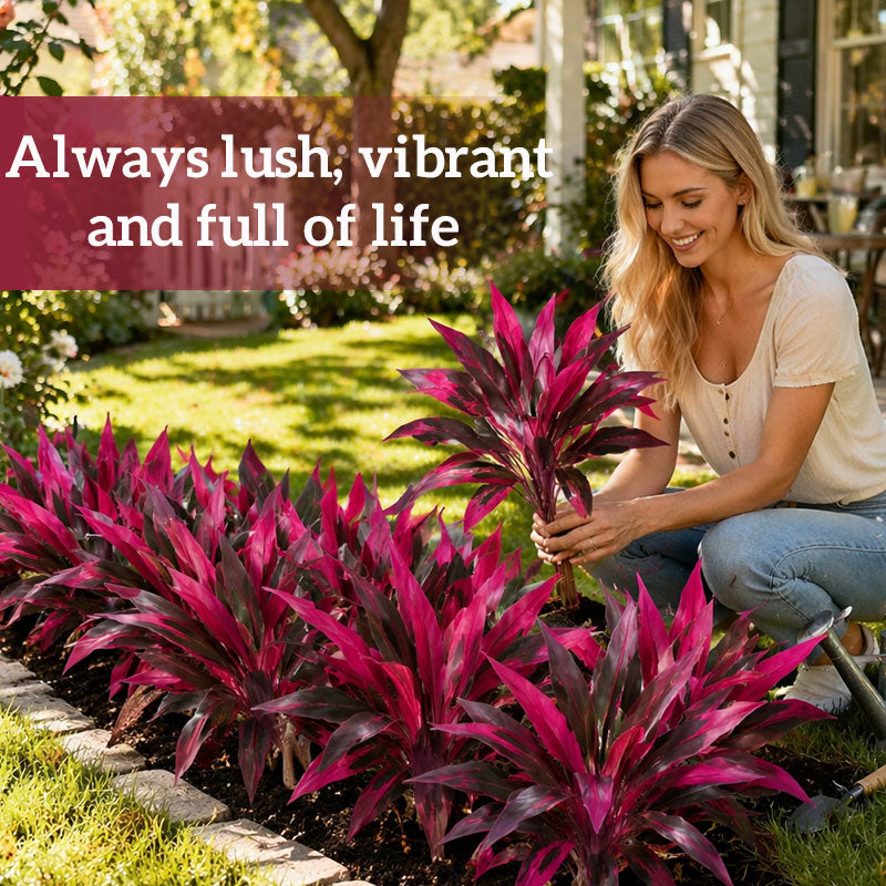 VerdoGlow — Vibrant freshness without effort that will transform your home forever | Kalsten
