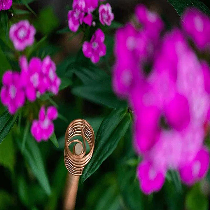 Copper plant stakes 30 cm | Kalsten