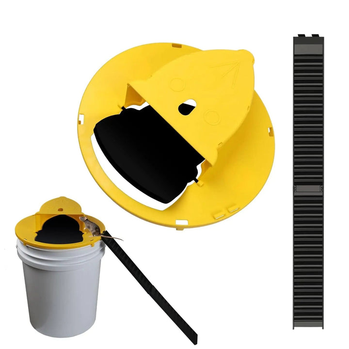 SilentCatch Eco – Automatic Mouse Trap without Killing