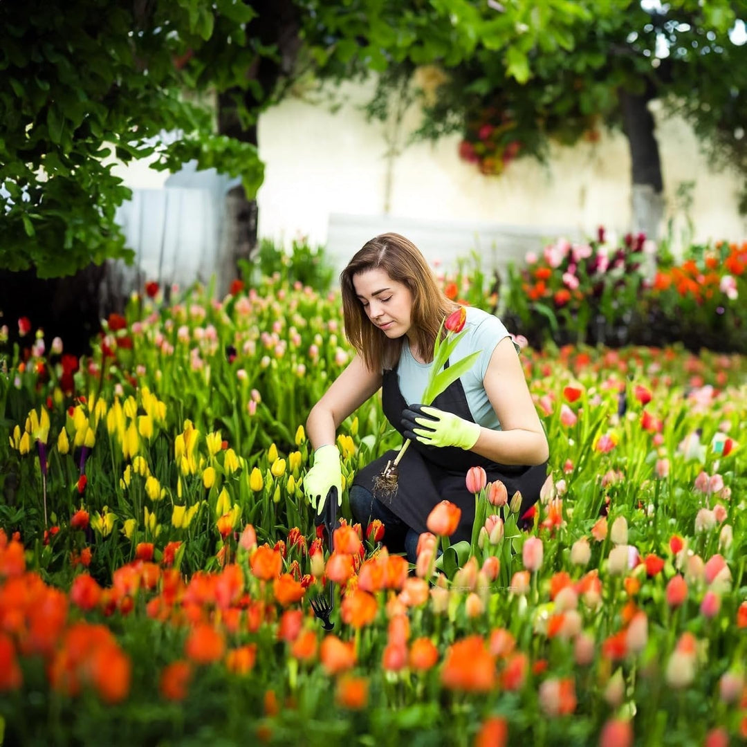 Kalsten | Garden Weed Pulling Tool
