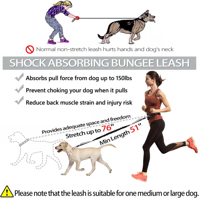 FlowLeash — Experience gentle control and relaxed walks without jerks! | Kalsten
