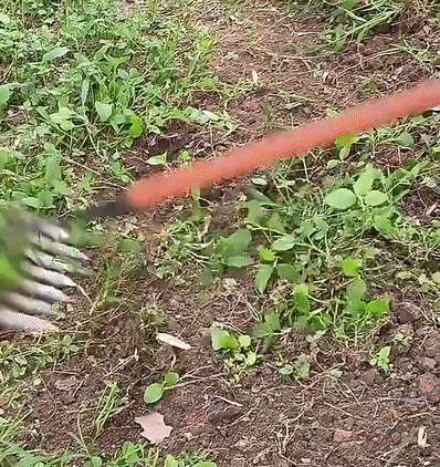 TuinGrijp Carbon Steel Weeding Rake for Garden Maintenance | Kalsten