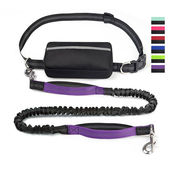 FlowLeash — Experience gentle control and relaxed walks without jerks! | Kalsten