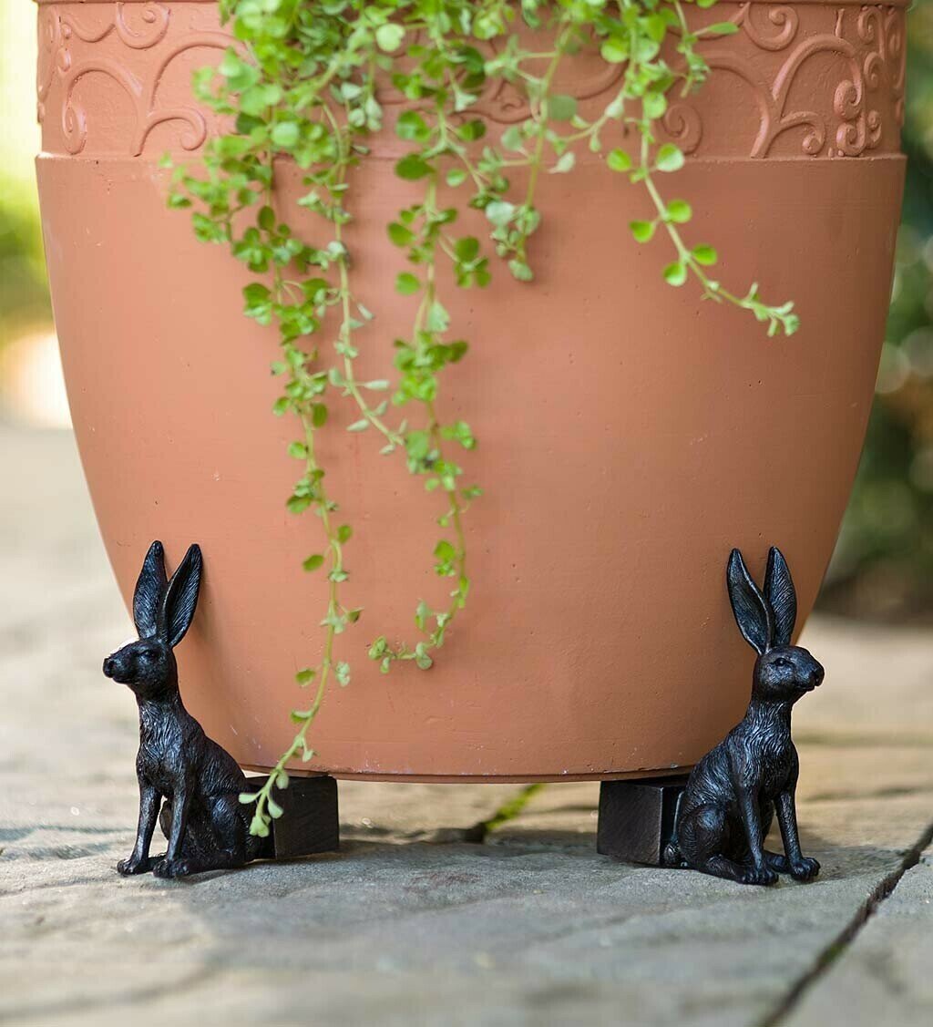 Kalsten | Potty Feet Plant Pot Feet