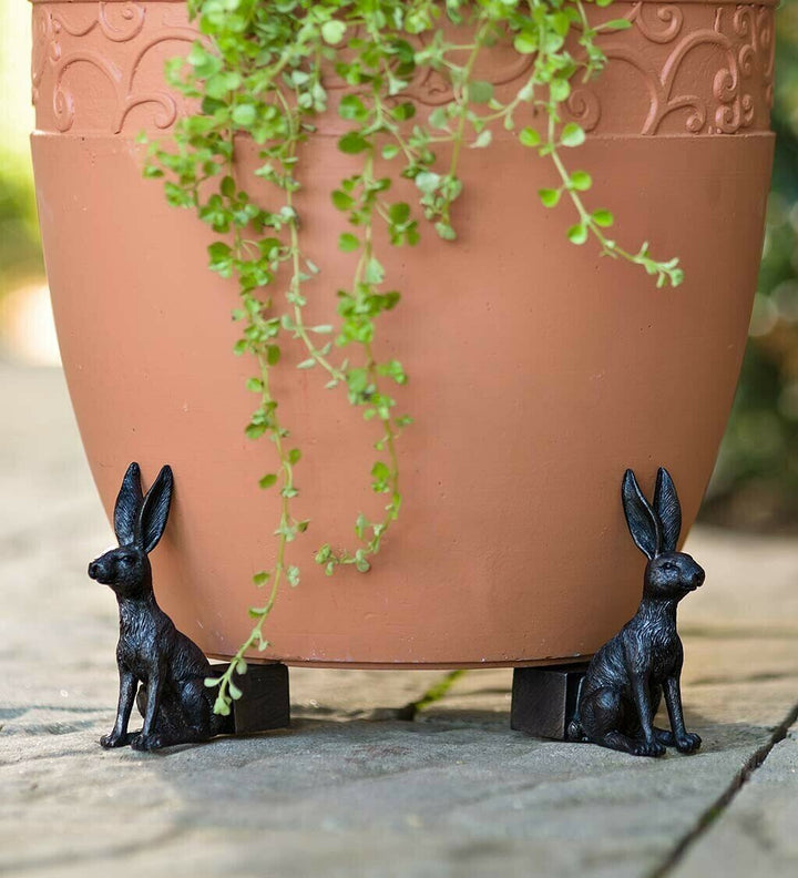 Kalsten | Potty Feet Plant Pot Feet