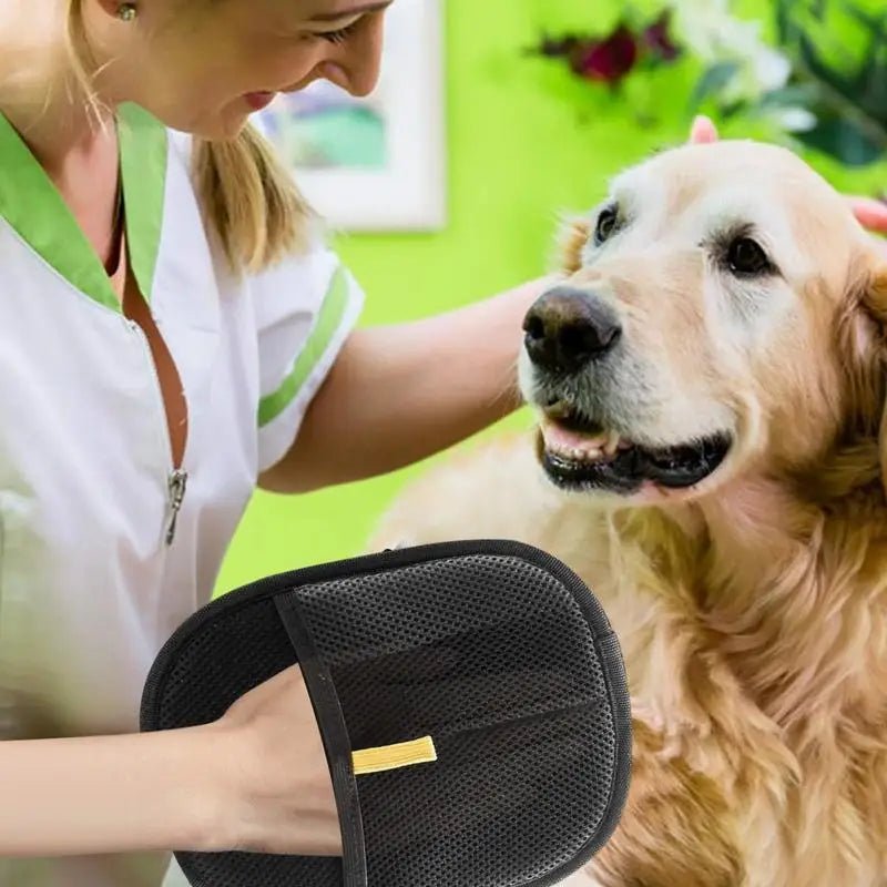 SilkPaw — Transforms annoying fur care into loving cuddle time | Kalsten