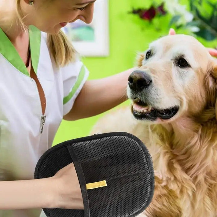 SilkPaw — Transforms annoying fur care into loving cuddle time | Kalsten