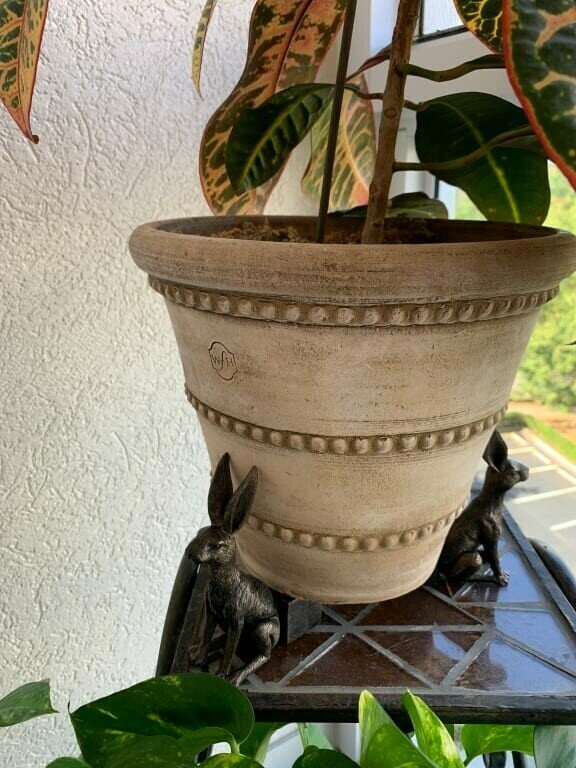 Kalsten | Potty Feet Plant Pot Feet