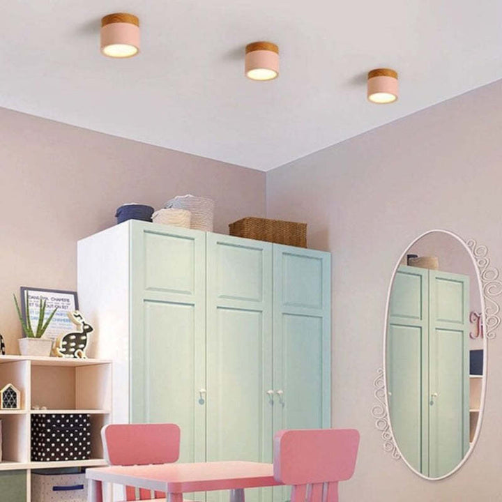 Morandi Style Modern LED Ceiling Lamp - LumiModo | Kalsten