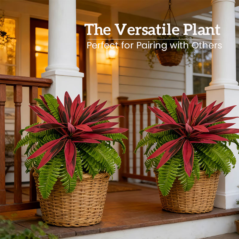 VerdoGlow — Vibrant freshness without effort that will transform your home forever | Kalsten