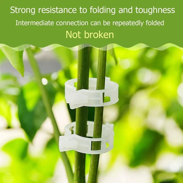 GripKing Clips — Keep your plants strong and discover effortless, healthy growth! | Kalsten