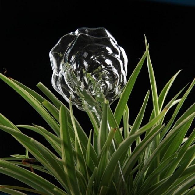 Kalsten | Self-Watering Plant Bulb
