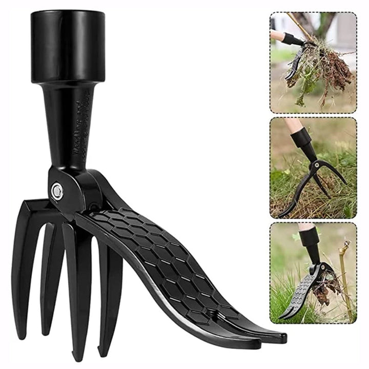 Kalsten | Stainless steel adjustable long handle removable weeder